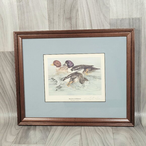Alexia S Scott Other - Barrow's Goldeneye Art Print Alexia S. Scott Numbered Signed DUCKS 15.25"X12.25"